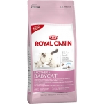 Royal Canin (Роял Канин) Mother BABYCAT (4 кг)